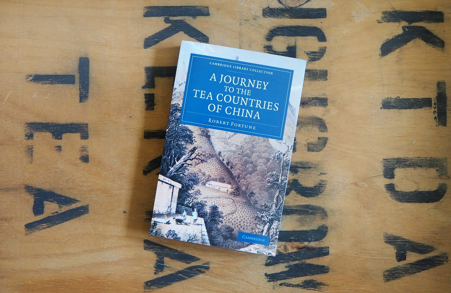 A Journey to the Tea Countries of China by Robert Fortune