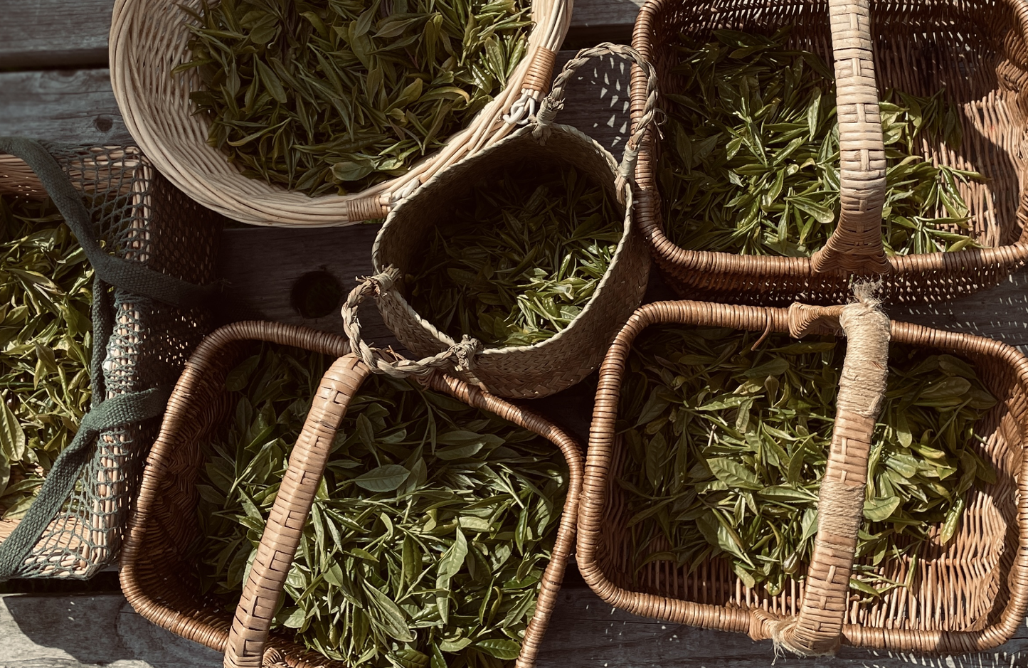 Dartmoor First Flush 2024 Single Origin Tea Taster, Green & Black ~ Dartmoor Estate Tea 🇬🇧