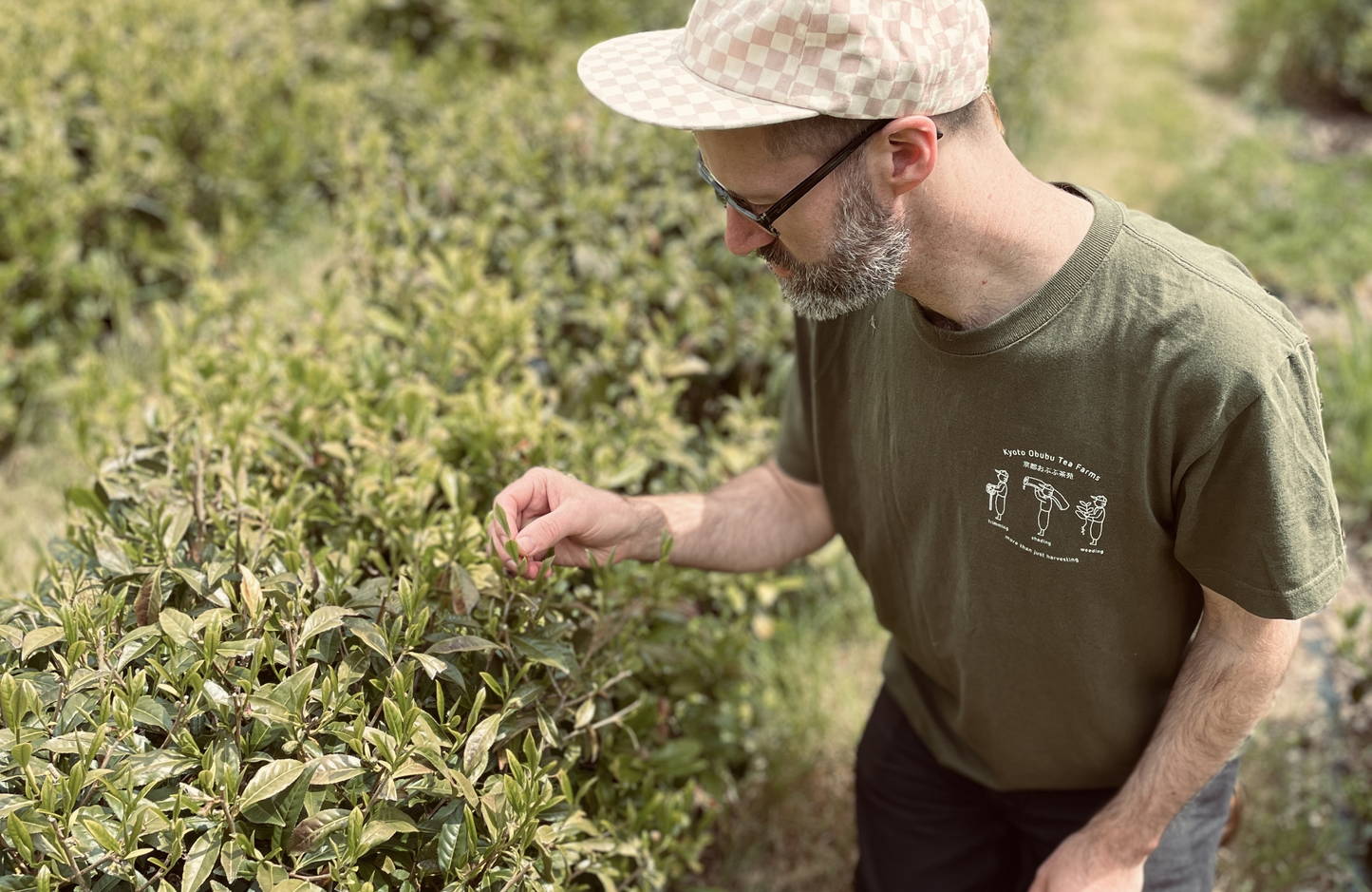 Dartmoor First Flush 2024 Single Origin Tea Taster, Green & Black ~ Dartmoor Estate Tea 🇬🇧