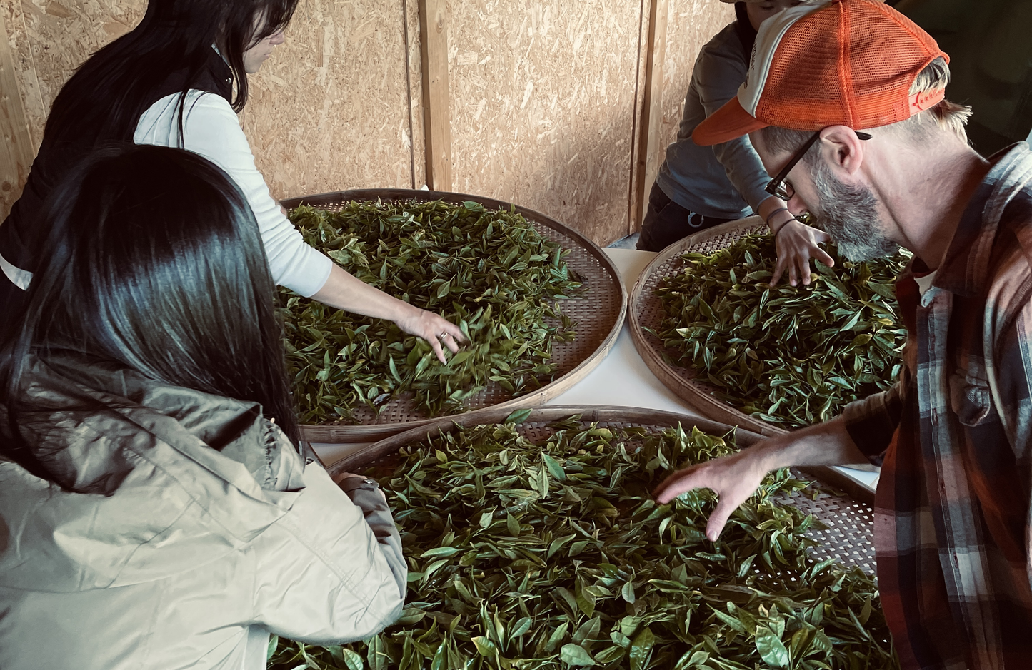 Dartmoor First Flush 2024 Single Origin Tea Taster, Green & Black ~ Dartmoor Estate Tea 🇬🇧