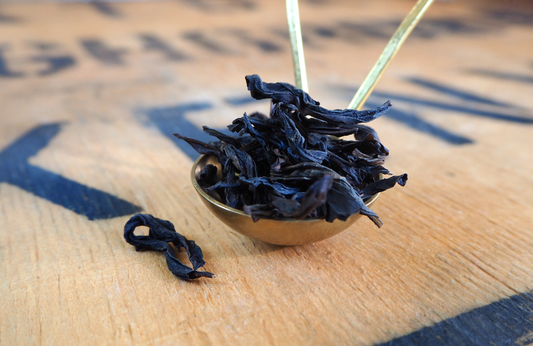 Rare Orchid, Qi Lan 2023 🇨🇳