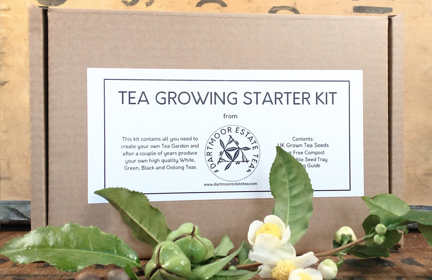 Tea Growing Starter Kit by Dartmoor Estate Tea π¬π§