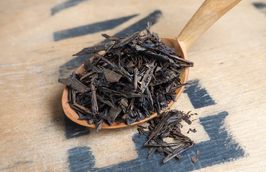 Yoshida Family Hojicha 🇯🇵