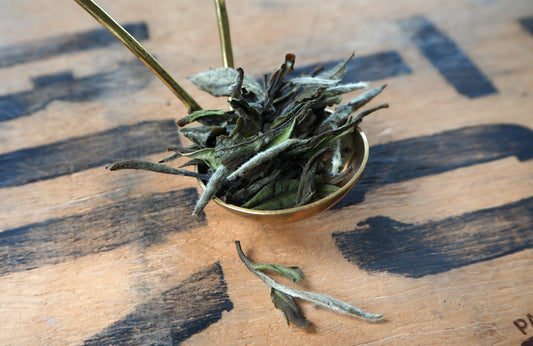 White Peony 2025 π¨π³