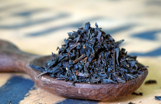 San Lorenzo Fog ~ Russian Caravan OP