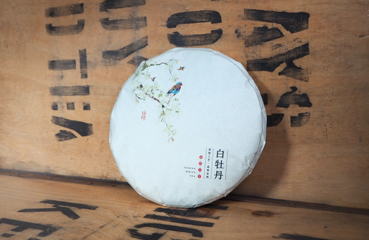 Fuding White Peony 2013 🇨🇳