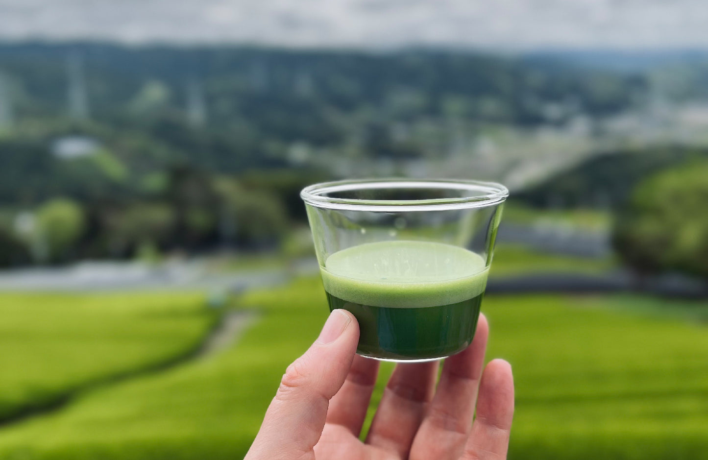 Adventures in Japan ~ Matcha Tasting Box