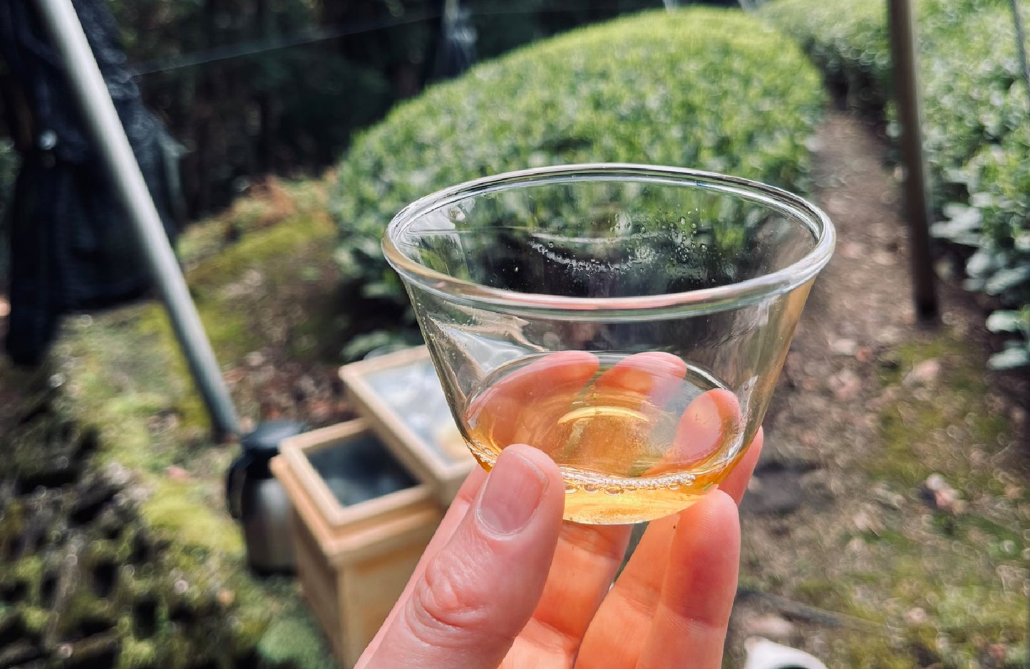 Adventures in Japan ~ Leaf Tea Tasting Selection