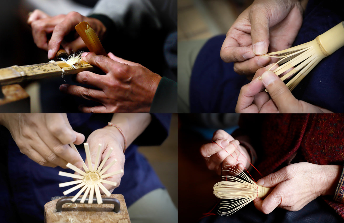 Rainbow Takayama Chasen, Matcha Whisk by Suikaen | Yasaburo Tanimura